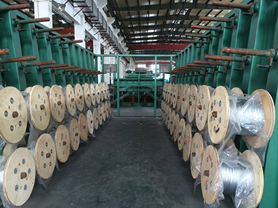 Steel cord belt